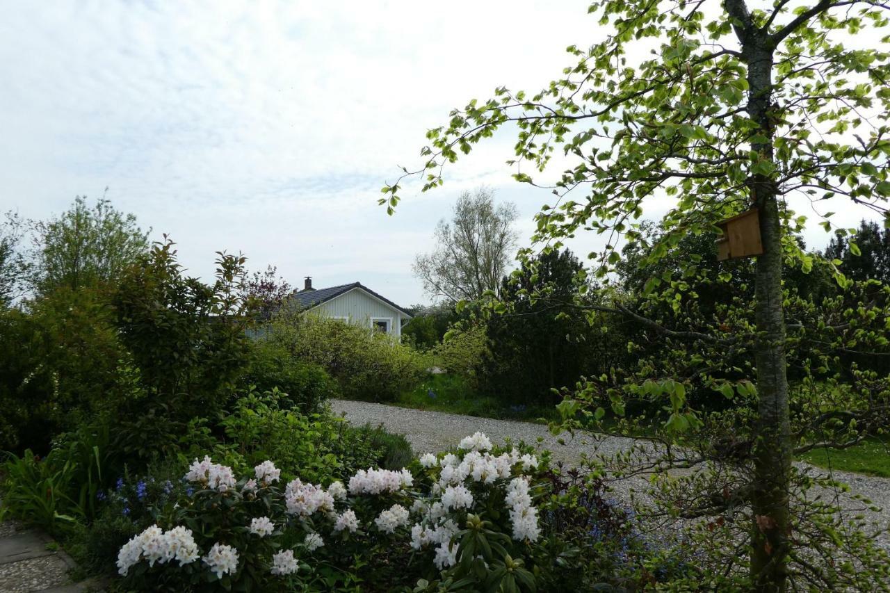 Ferienhaus-Lachmoewe Kappeln Exterior foto